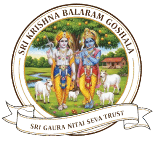 Sri Gaura Nitai Seva