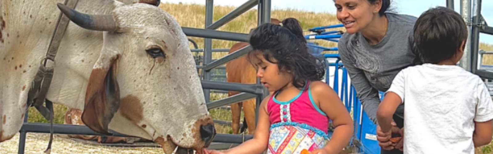 Contribute to Sri Krishna Balaram Goshala