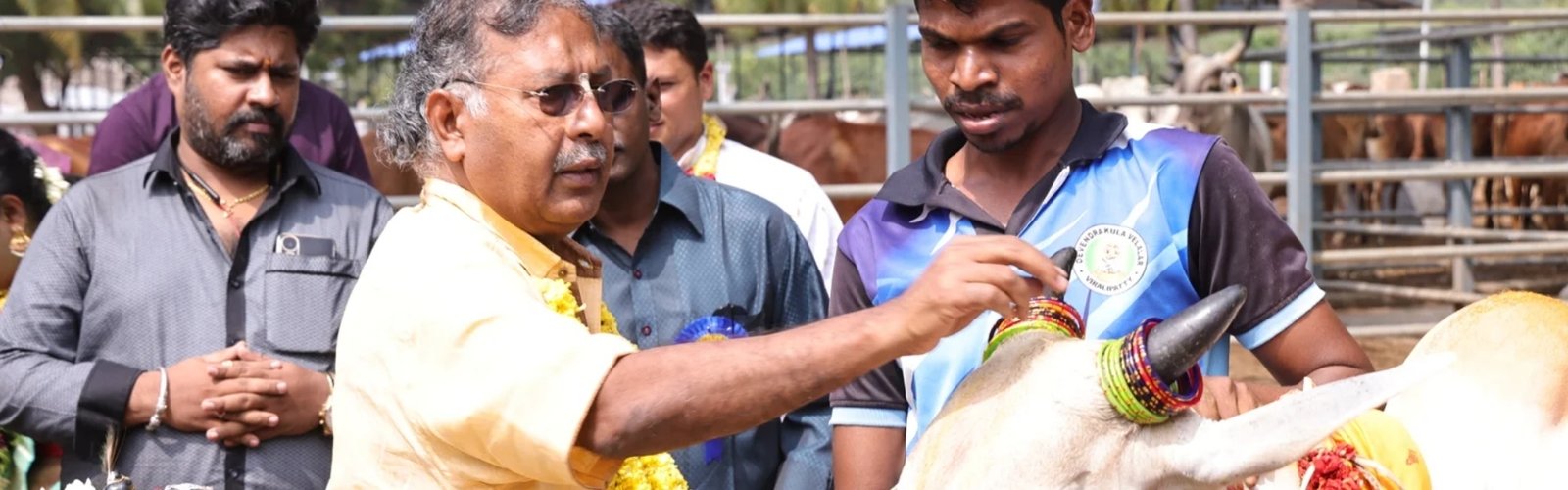 Volunteer at Sri Krishna Balaram Goshala