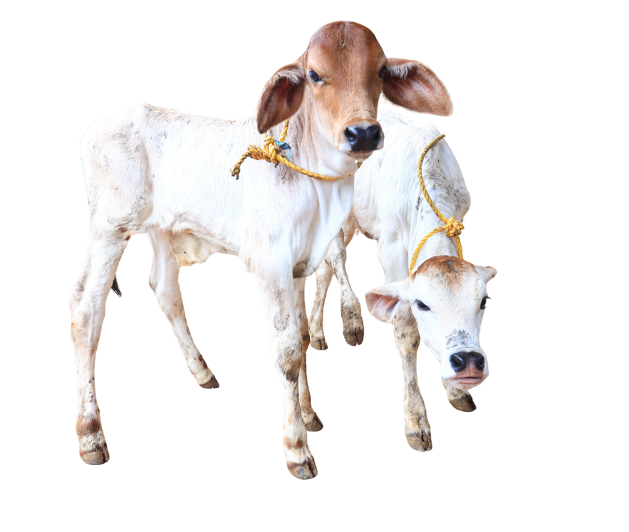 Home Hero Slide 3 (1)