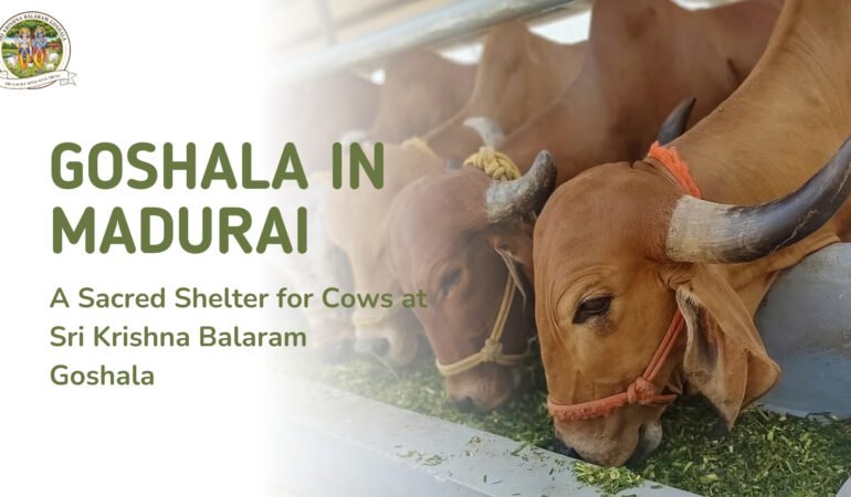 Goshala in Madurai